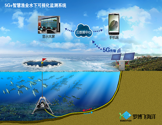 吉林省镇赉县哈尔淖水库 高寒地区5G+智能渔业管理平台